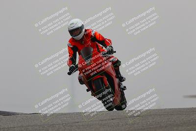 media/Nov-30-2025-TrackDaz (Sun) [[d8b22663df]]/C Group/Session 3 (Grapevine)/